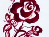 Drawing Rose 2018-II