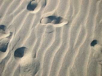 蜷川有紀 yuki ninagawa　砂浜