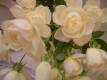 蜷川有紀 yuki ninagawa 久世光彦