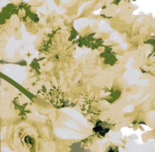 蜷川有紀 yuki ninagawa　追悼