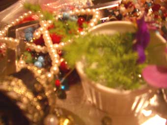 蜷川有紀 yuki ninagawa Jewelry