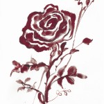 蜷川有紀　赤い薔薇